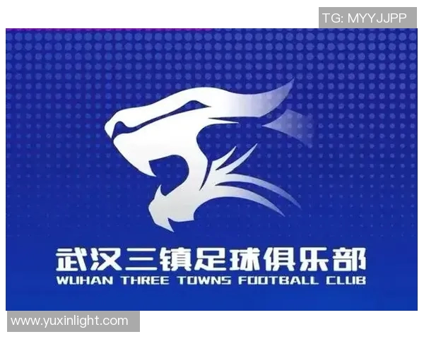 武汉足球队总决赛耐力表现分析与未来发展展望